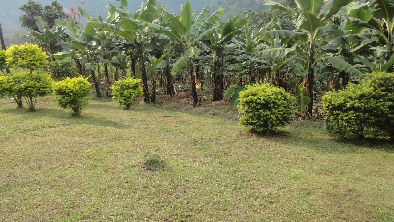 Homestay Rwenzori Trekking *